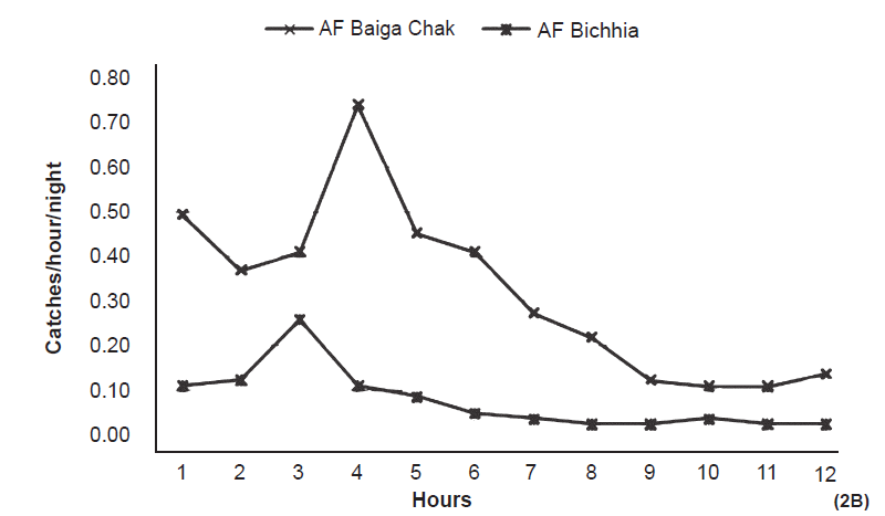 Catches of An. fluviatilis (AF) on animal bait (per night/hour) in the study area (12 hours from 1800-0600 h).