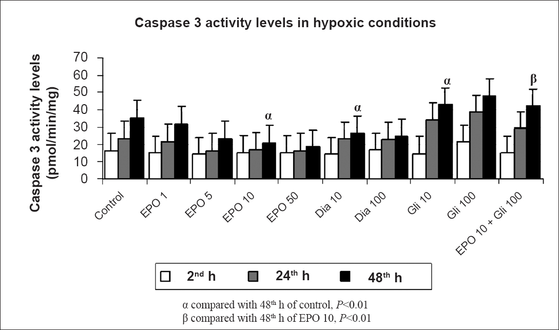 Effects of different concentrations (1,5,10,50 IU/ml) of erythropoietin (EPO) treatment, glibenclamide (Gli 10,100 μM) and diazoxide (Dia 10,100 μM) on apoptosis in hypoxic conditions at 2, 24 and 48 h by the caspase-3 activity levels. Data are presented as mean ± SE (n=40 observations).