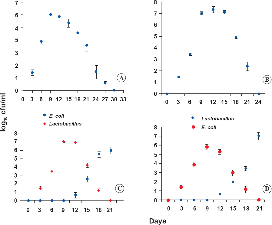 A. Vaginal establishment of E. coli in BALB/c mice. Results are shown as mean ± SD (n=3 observations). Figure B. Vaginal colonization of L. plantarum 2621 in female mice. Results are shown as mean ± SD (n=3 observations). Figure C. Prophylactic effect of L. plantarum 2621 against E. coli in BALB/c mice. Results are shown as mean ± SD (n=3 observations). Figure D. Therapeutic effect of L. plantarum 2621 on E. coli. Results are shown as mean ± SD (n=3 observations). Significant differences found between the untreated control (Figure A) and the treated group (P<0.05).