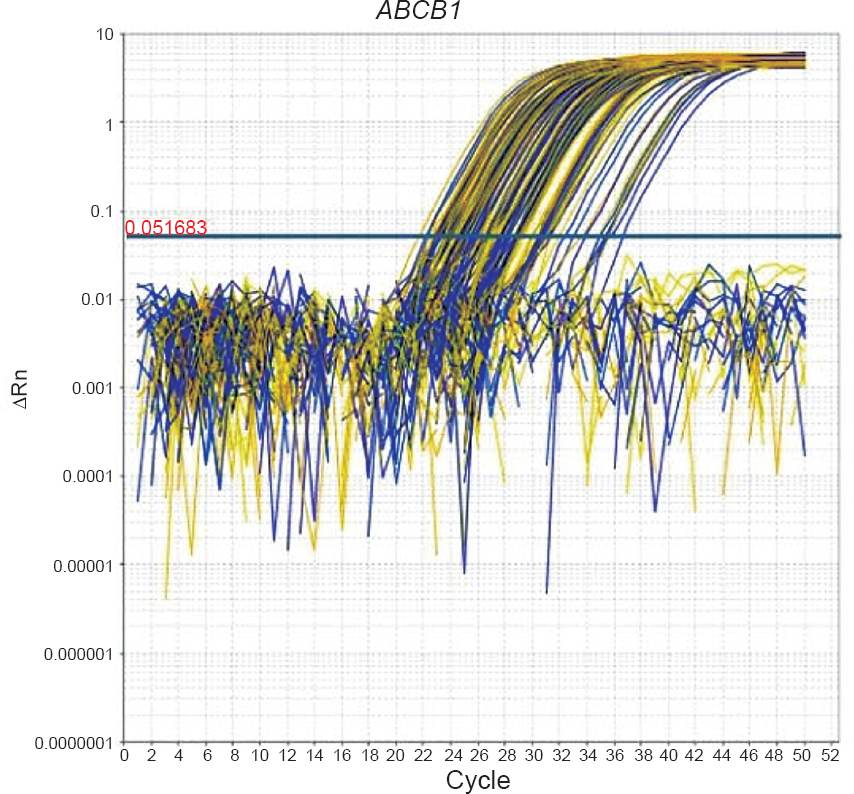 Amplification plot of ABCB1 gene of CML patients.