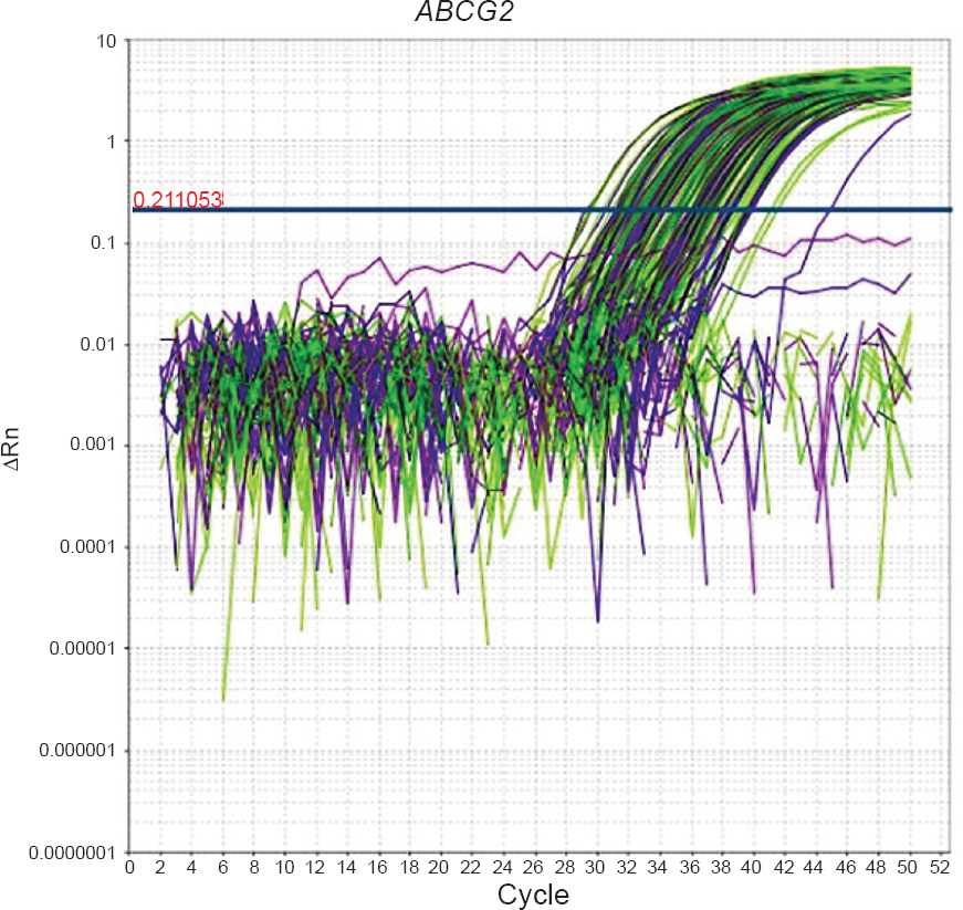 Amplification plot of ABCG2 gene of CML patients.