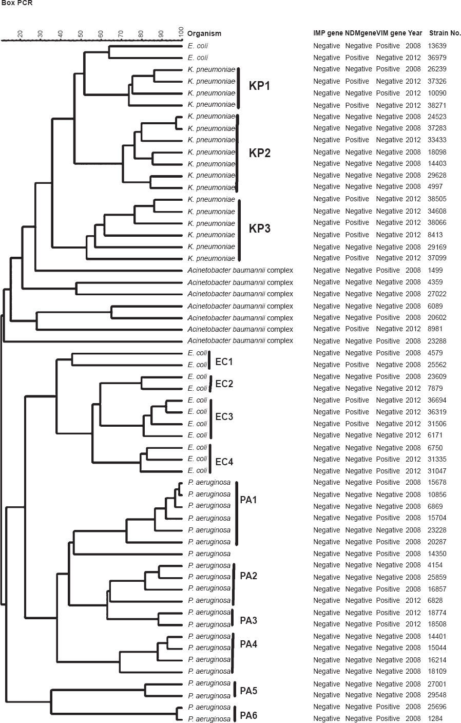UPGMA (unweighted pair group method with arithmetic mean) tree fo BOX-PCR patterns from 58 carbapenem resistant uropathogens isolated during 2008 and 2012.