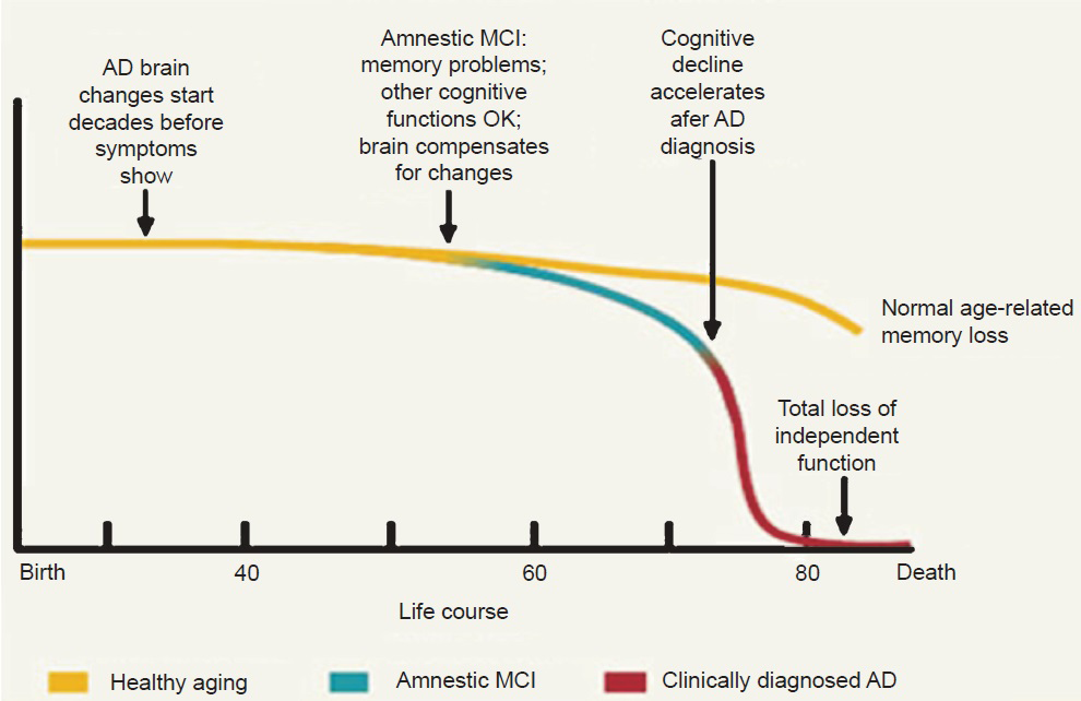 Cognitive trajectories over a lifetime and AD phases. National Institute on Aging's document titled “Alzheimer's Disease: Unraveling the Mystery”. Available from: https://www.nia.nih.gov/alzheimers/publication/alzheimers_disease-unraveling-mystery/preface, accessed on August 20, 2015. [Reproduced with permission from: www.nih.gov<http://www.nia.nih.gov/>].