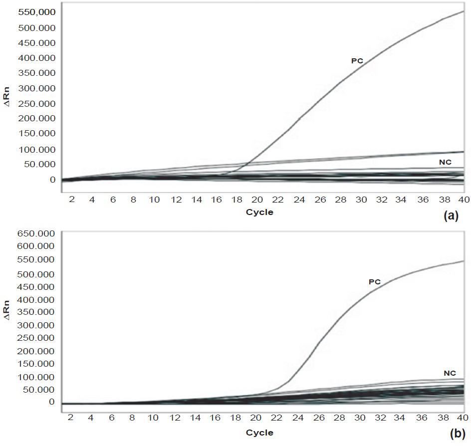 Specificity of WPV1 and WPV3 rRT-PCR assays was tested using intertypic WPV1, WPV3, Sabin 1, 2, 3 and 27 different NPEVs. (a) Amplification plot for WPV1 assay (b) Amplification plot for WPV3 assay. NC, negative control; PC, positive control.