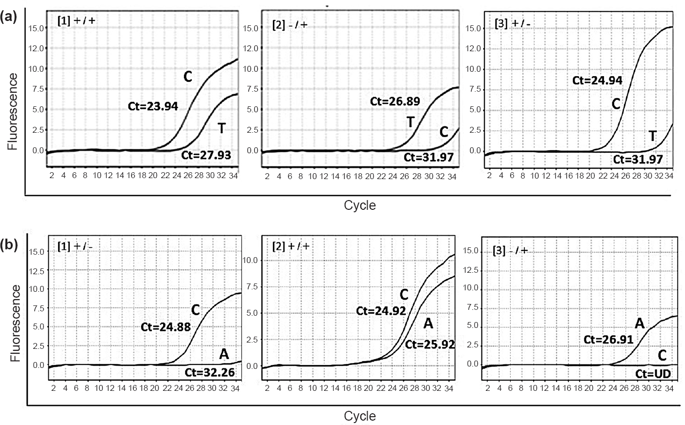 Amplification plot of SNPs showing allelic variation. (a) rs3014866: [1]+/- homozygous wild type C/C; [2]+/+ heterozygous C/T; [3] -/+ homozygous mutant T/T. (b) rs2149356: [1] +/- homozygous wild type C/C; [2] +/+ heterozygous C/A; [3]-/+ homozygous mutant type A/A.