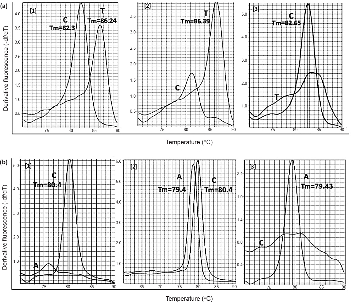 Dissociation curve of SNPs showing temperature variation between the two alleles. (a) rs3014866 showing a Tm difference of 4 °C (b) rs2149356 showing a Tm difference of 1 °C. *Tm, melting temperature.