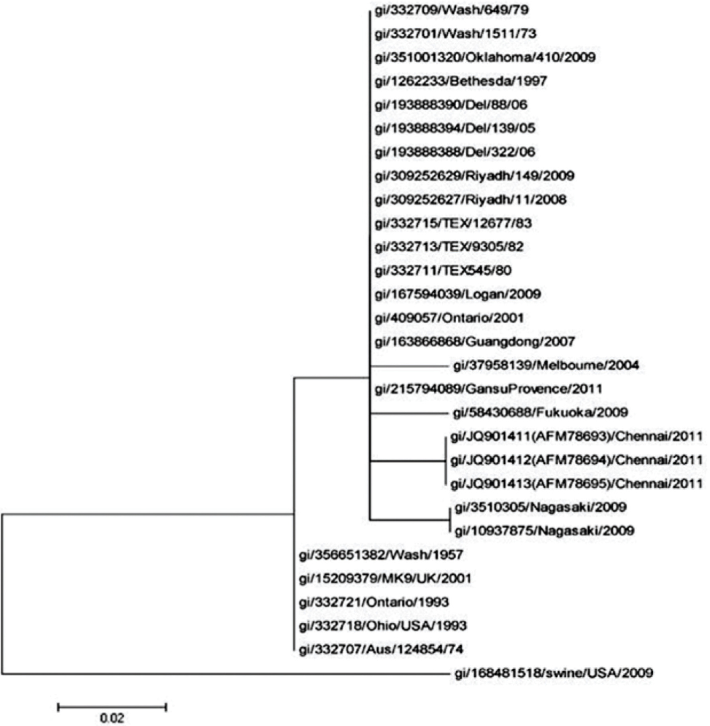 Phylogenetic analysis of the deduced amino acid sequences of hemagglutinin neuraminidase gene of HPIV-3 to members of the family Paramyxoviridae. The tree was constructed by the maximum likelihood method with p distance.