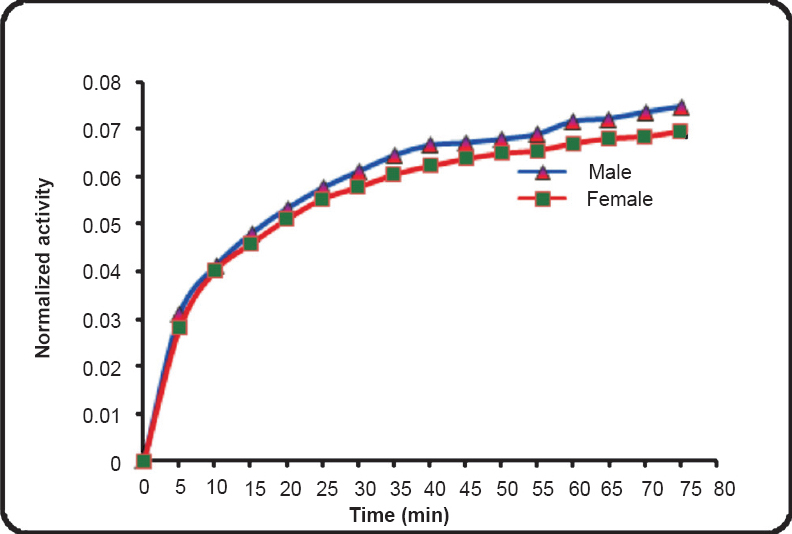 Representative time activity curves depicting the uptake of activity in adult male and female brain.