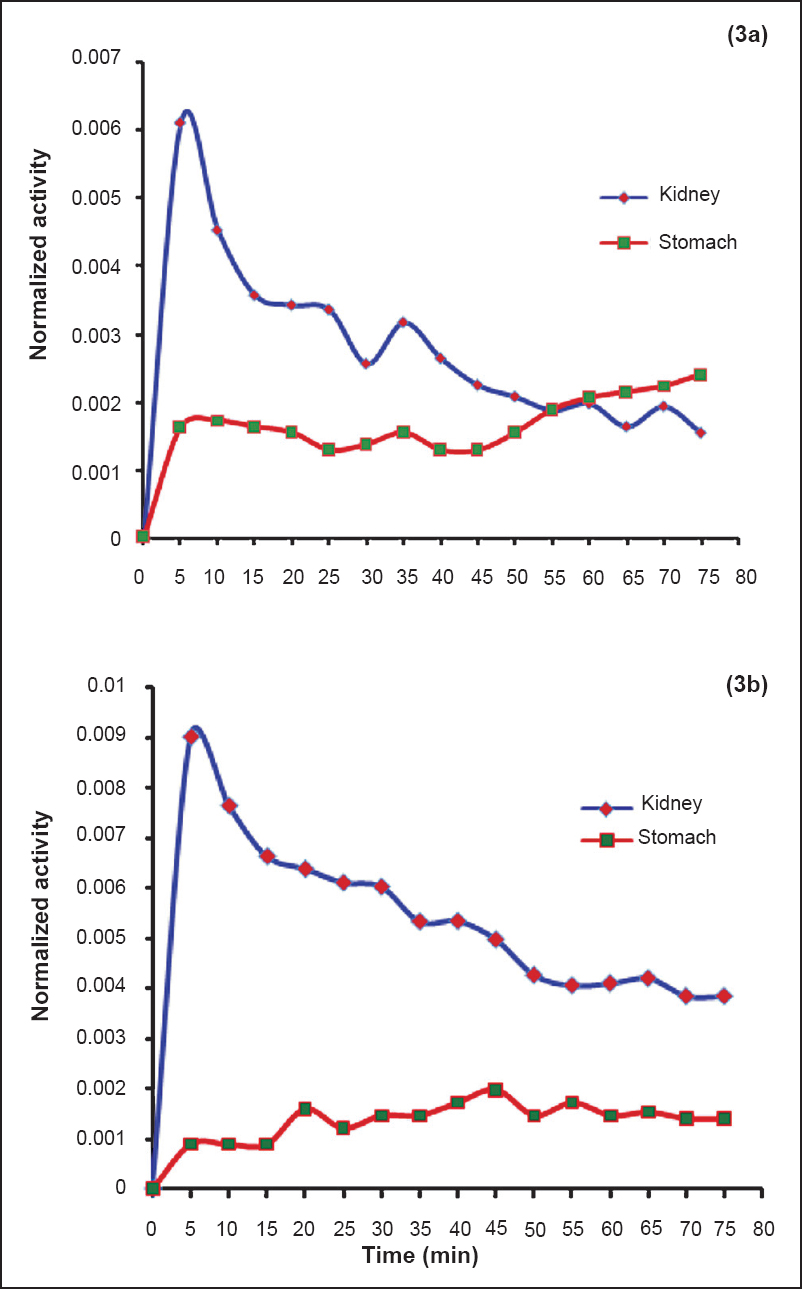 Time activity curves normalized to the administered activity for adult males (3a) and females (3b) kidneys and stomach.
