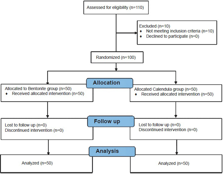 Flow diagram showing the study design.