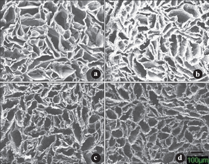Representative scanning electron microscope (SEM) photomicrographs illustrating the open porous structure of the scaffolds with homogenous distribution of pores. (a) 100CHT (b) 40CHT/HAP (c) 30CHT/HAP/PCL and (d) 25CHT/HAP/PCL (Scale bar 100μm).