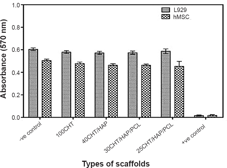 Determination of cytotoxicity of scaffolds by MTT assay. The viability of mouse lung fibroblast cell line L929 and hMSCs was evaluated that had been cultured for 24 h with the extraction media from the specimens. Data represent mean ± SD of five independent experiments.