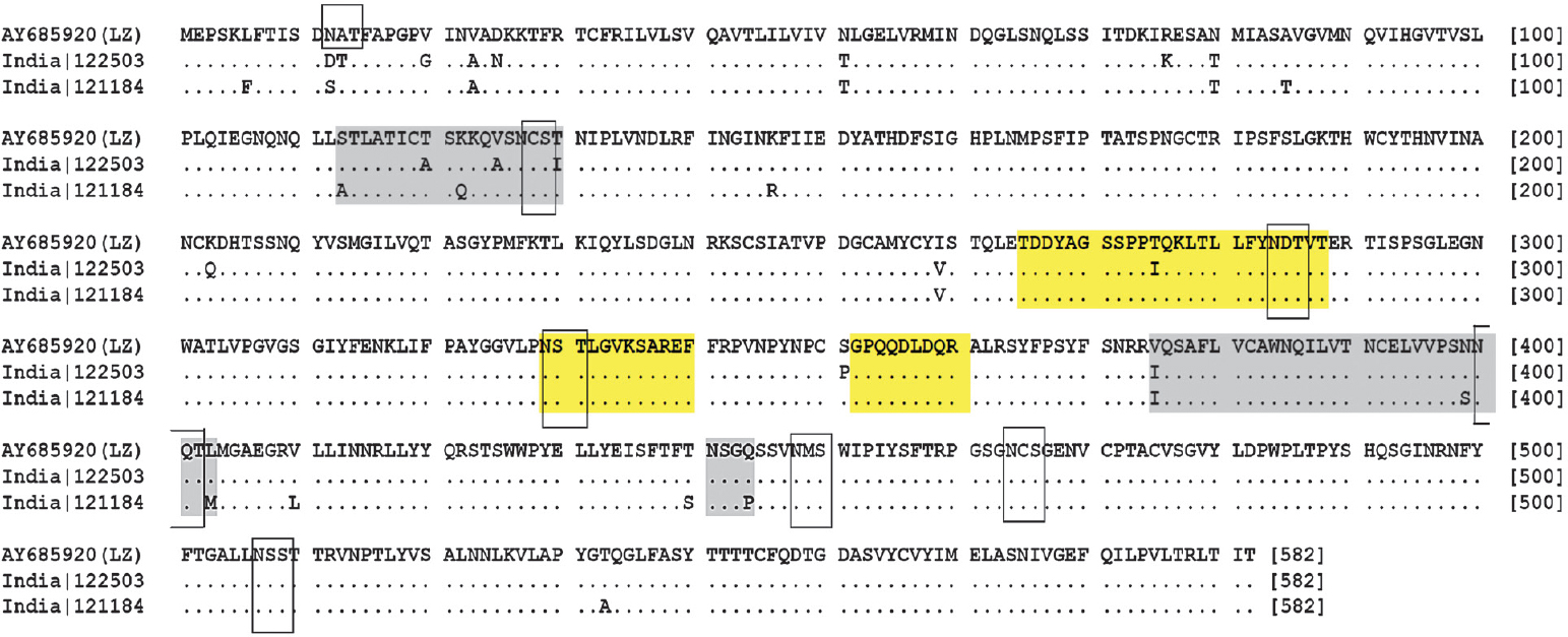 Deduced amino acid sequence of HN of mumps viruses isolated from India and LZ vaccine strain. Potential glycosylation sites are marked by rectangles. Regions highlighted in yellow colour indicate epitopes. Gray coloured regions are involved in viral escape from neutralizing antibodies as suggested in earlier study10.