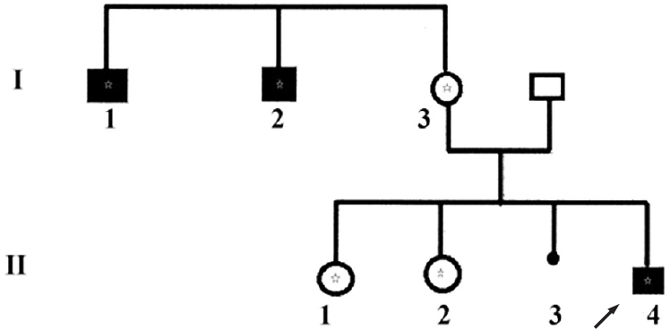 Pedigree of the family with related affected males. Black boxes indicate intellectual deficiency due to ATRX gene mutation. The asterik means that the subject carrys the mutation (c. 6740A>C) within the ATRX gene. In generation (I), three subjects carried the mutation. In generation (II) the index case is indicated by the arrow (II 4) and both sisters (II-1 and II-2) were heterozygous II-3 is an in utero foetal death (seven months of pregnancy).