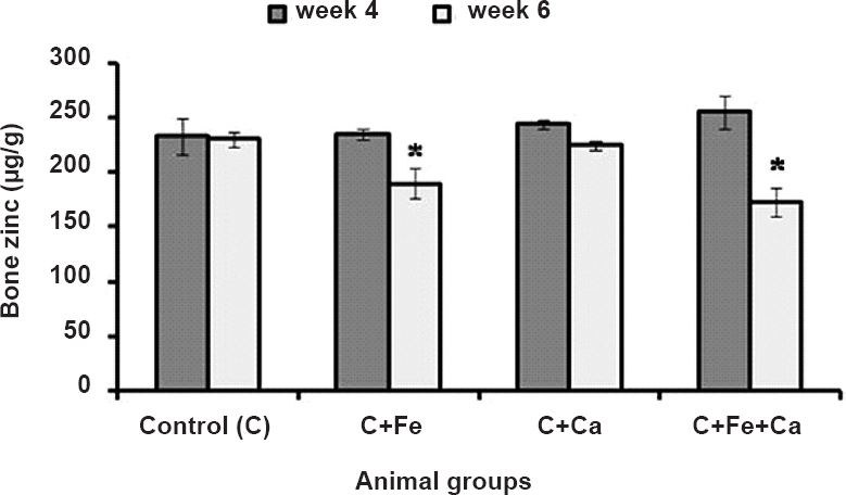 Zinc concentration in femur bone of rats maintained on supplemental iron, calcium and iron+calcium for four and six weeks. Values are mean ± SEM (n=6 rats). *P<0.05 compared to control group.