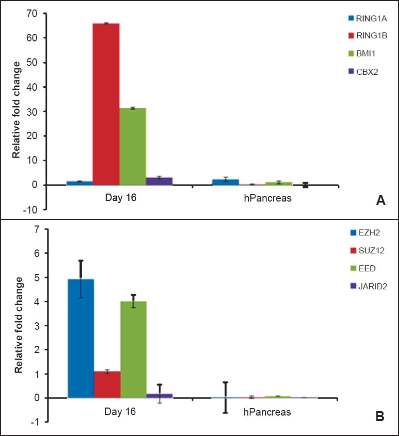 Comparison of polycomb repressive complexes (PRC) expression in pancreatic progenitors derived from human embryonic stem (hES) cells on day 16 and adult human pancreas. Expression of (A) PRC1 (RING1A, RING1B, BMI1 and CBX2) and (B) PRC2 (SUZ12, EZH2, EED and JARID2) complexes was compared by qRT-PCR. Results revealed distinct epigenetic differences of pancreatic progenitors derived from hES cells and adult human pancreas when compared to that of undifferentiated human ES cells used as reference sample; analyzed by CtΔΔ method. Expression of polycomb group (PcG) proteins in adult human pancreas (normalized to 18S, Ct40) was shown by our group earlier (Ref. 23). These differences may ameliorate after transplantation or possibly are the underlying cause to explain that hES cells differentiate into their fetal counterparts and may thus not be very useful to regenerate adult pancreas. Results are representative of five biological replicates. [Source: Adapted from Ref. 23, Figures 6 & 9, reproduced with permission].