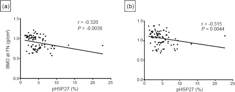 Correlation of phosphorylated HSP27 with BMD at (a) Femur neck (FN) and (b) Lumbar spine (LS) in women (n=80).