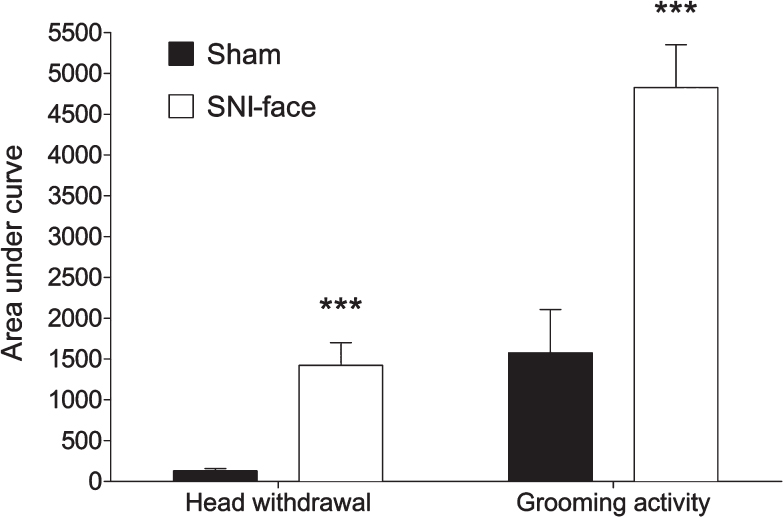 Bars illustrate the area under the curve (AUC) in both SNI-face (white bars, n=6) and sham (black bars, n=4) animals for the head withdrawal reflex and grooming activity performed in response to formalin injection into the vibrissae pad. Data are shown as mean ± SEM. *** P<0.001 compared to sham.