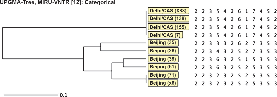 Dendogram showing MIRU-VNTR (Mycobacterial Interspesred Repetitive Units - Variable Number Tandem Repeats) analysis of XDR M. tuberculosis isolates (n=10).