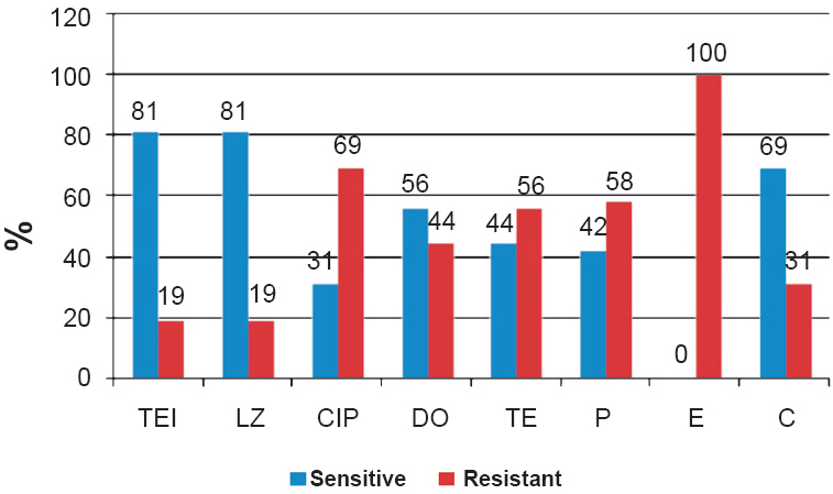 Antibiogram sensitivity of VRE isolates. TEI, teicoplanin; LZ, linezolid; CIP, ciprofloxacin; DO, doxycycline; TE, tetracycline; P, penicillin; E, erythromycin; C, chloramphenicol.