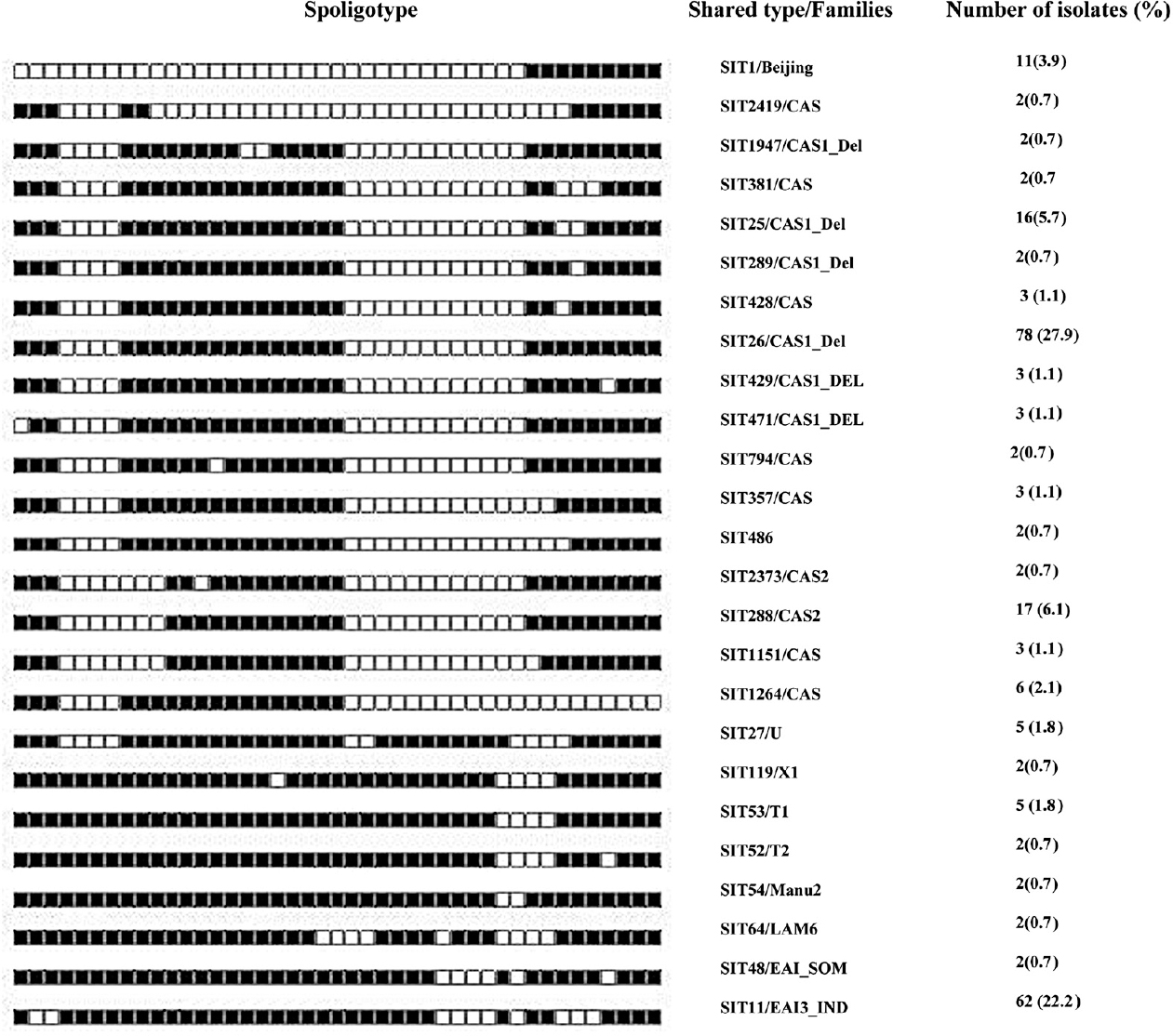 Spoligotype patterns of 239 clustered M. tuberculosis isolates identified by matching with the SITVIT2 database in the study. SIT, spoligotype international type; filled boxes represent positive hybridization while empty boxes represent absence of spacers. Percentages calculated out of 279 typed isolates.