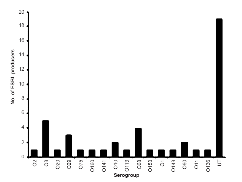 ESBL production among various serogroups. Maximum number of ESBL producers were found to be O-untypable followed by O8, O68, O29, O10, O60, O2, O20, O75, O160, O141, O113, O68, O153, O148, O11 and O136. No ESBL producer was observed among other serogroups.