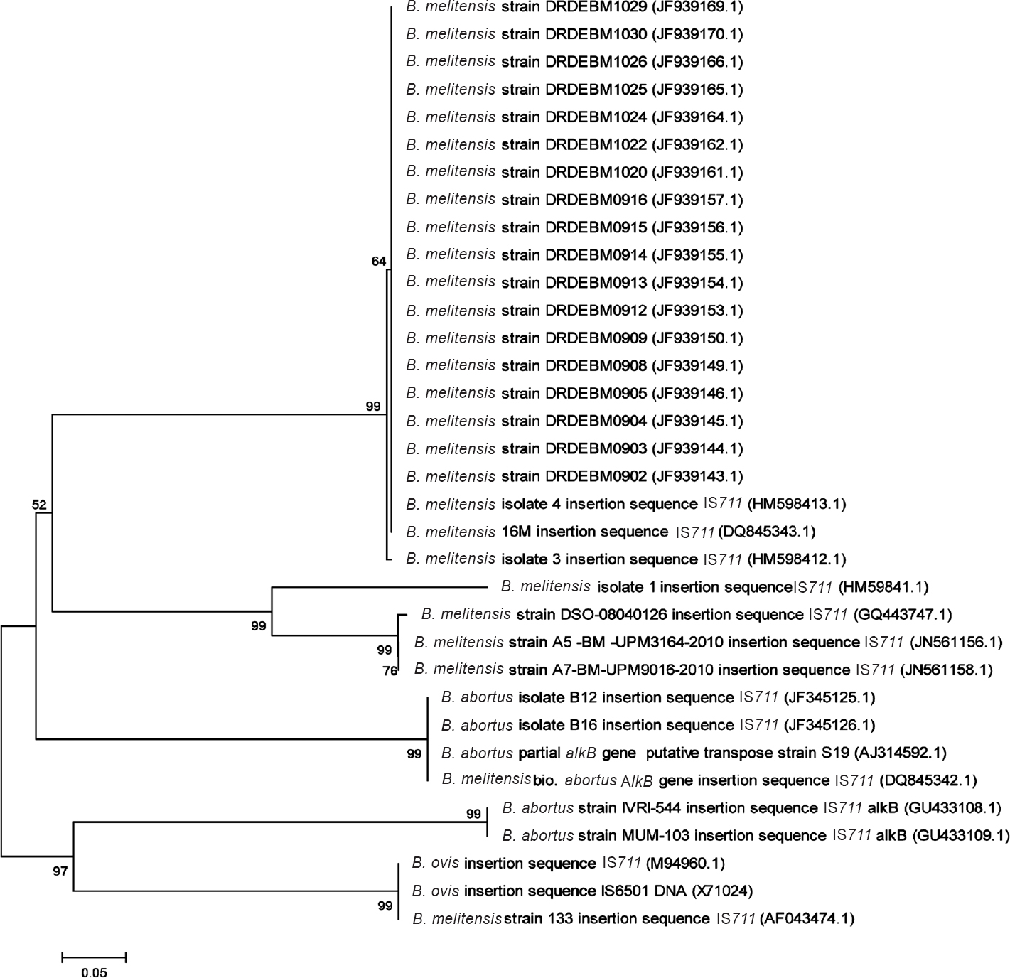 Neighbor joining tree based on IS711 gene sequences of B. melitensis isolates and related reference strains constructed with 1000 bootstrap using Mega software version 5. The bootstrap values are given at the nodes.