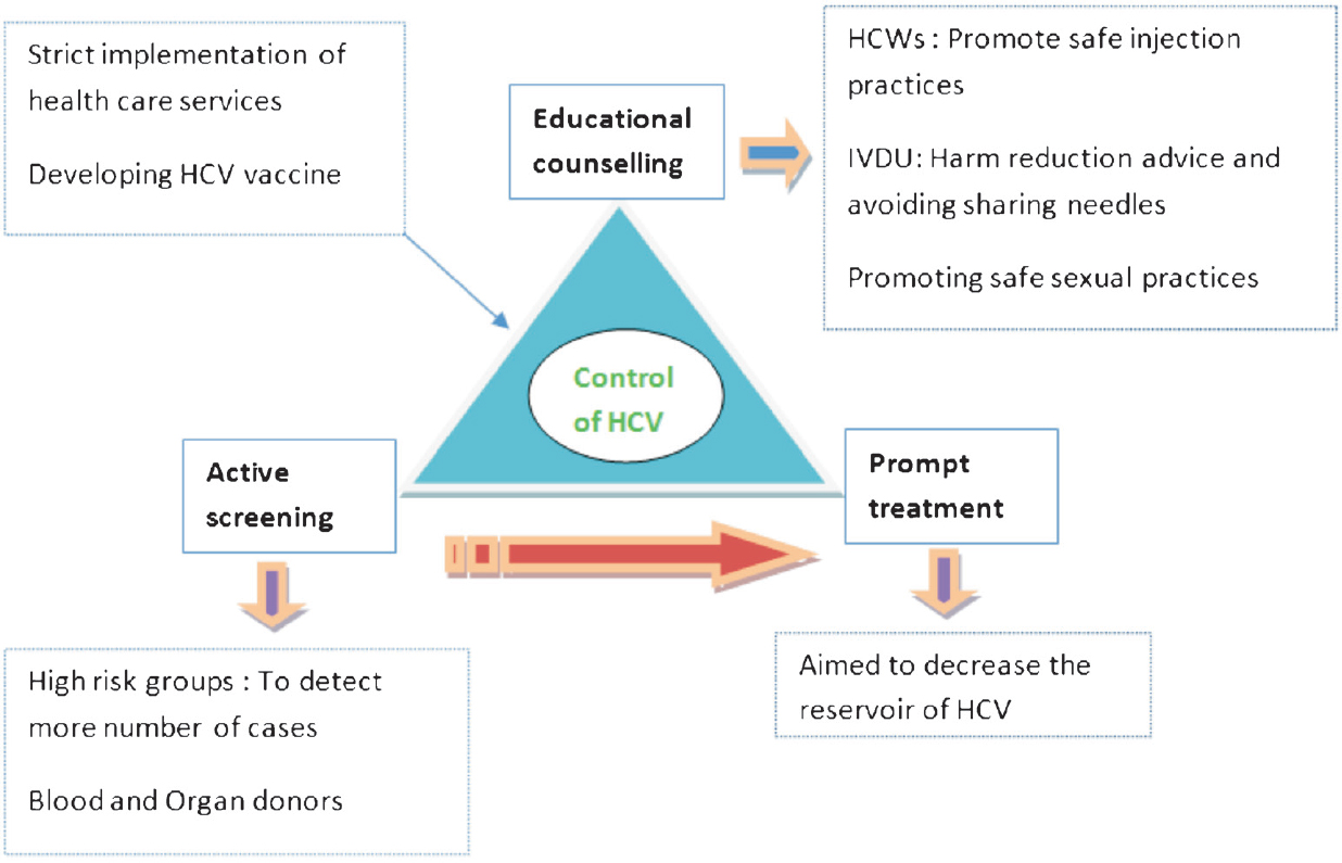 Preventive strategies to control HCV infection.