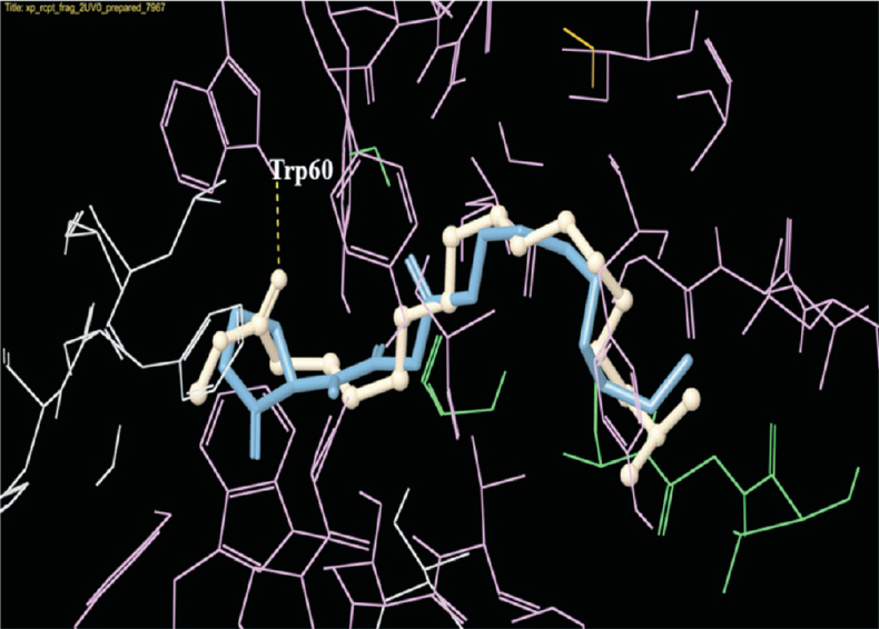 Docking pose of 3-oxo-C12-HSL (blue) and methyl 16-methylheptadecanoate (white) in the active site of LasR. The ligands are shown as ball-and-stick model with H-bonds represented by the yellow dotted lines.