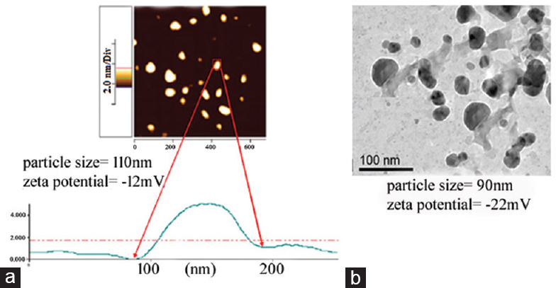 (a) Example showing atomic force microscopic (AFM) image of poly-lactide-co-glycolide encapsulated flavonoid compound (apigenin) showing the particle size to be 110 nm. (b) Transmission electron microscope (TEM) image of poly-lactide-co-glycolide encapsulated silver nanoparticles. The Figure shows that the shape and size of the PGLA coated nanoparticles were fairly uniform.
