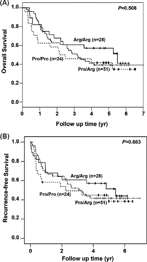 Survival curve of patients carrying Arg/Arg, Arg/Pro and Pro/Pro genotypes. Kaplan–Meier analysis of overall (A) and recurrence-free survival (B) of 103 invasive cervical cancer cases with Arg/Arg (n=28), Arg/Pro (n=51) and Pro/Pro (n=24) genotypes is depicted.