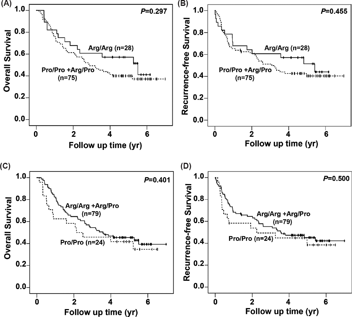 Survival curves for overall and recurrence- free survival of the cases with different combinations of the p53 genotype. Kaplan–Meier survival analysis of overall and recurrence-free survival for the genotypes Arg/Arg (n=28) versus Pro/Pro and Arg/Pro (n=75) taken together is shown (A and B). Similar analysis was done for Pro/ Pro (n=24) versus Arg/Arg + Arg/Pro (n=79) genotypes. This is represented in C and D.