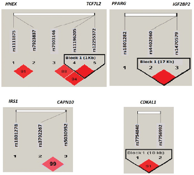 Linkage disequilibrium (LD) plots of single-nucleotide polymorphisms (SNPs) of genes in the same chromosome, i.e. TCF7L2, HHEX; IGF2BP2, PPARG; IRS1, CAPN10; CDKAL1. *D’ values mentioned in the linkage disequilibrium plot, except in two cases where the linkage disequilibrium was complete (100%). The pairs of SNPs with D’ value ≥ 80 per cent are considered to be in significant LD. Linkage disequilibrium is seen only between SNPs of the same gene, not across the genes, even on the same chromosome. The r2 values for the above linkage disequilibrium plot ranged from 0.44 to 0.98, but in case of CAPN10, it was very low (r2 = 0).
