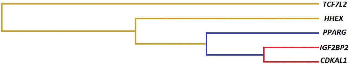 Dendogram obtained from the multifactor dimensionality reduction interaction analysis of the nine T2DM genes suggesting possible synergistic interactions. Colour indicates type of interaction: Red Synergistic interaction; Yellow - Independence; Blue - Redundancy or correlation (www.epistasis.org).