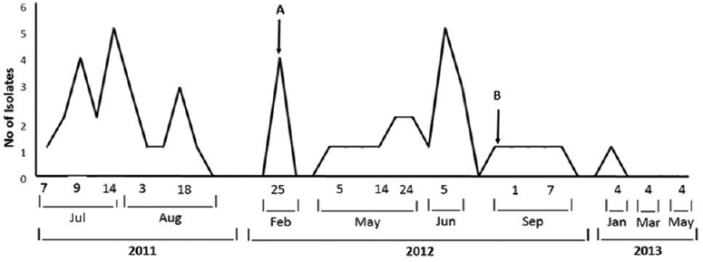 Distribution of the isolates during the study period. A: Isolation of environmental isolates of K. pneumoniae. B: Initiation of change in antibiotic policy.