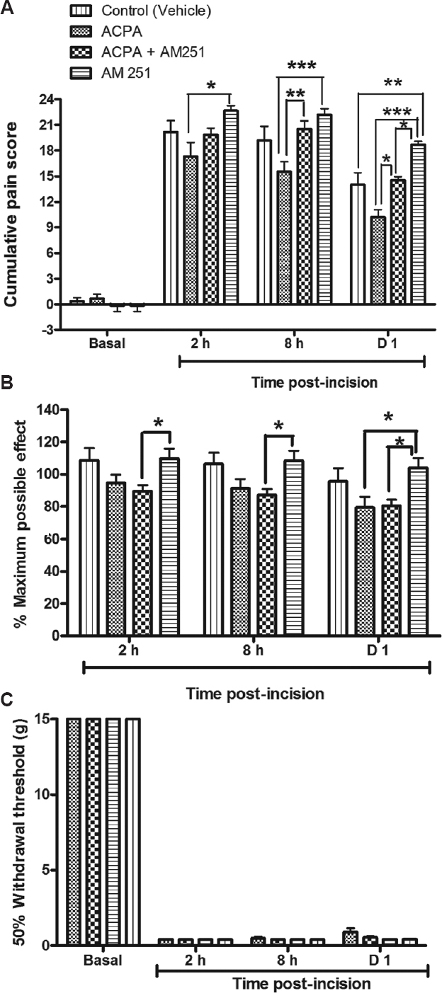 Effect of AM251, a cannabinoid type 1 receptor antagonist, on arachidonylcyclopropylamide (ACPA)-mediated antinociception. AM251 significantly reversed ACPA-induced antinociceptive effect on (A) guarding score (eight hours and day one) but not thermal hyperalgesia or mechanical allodynia (B and C). AM251 treatment alone further reversed guarding compared to ACPA-treated group (two hours and day one) and AM251 + ACPA-treated group (day one). Also, AM251 reversed thermal hyperalgesia (two hours to day one) compared to AM251 + ACPA (two hours and day one) and to ACPA-treated group (day one). n=6 rats in each group. Values are mean±SEM. P*<0.05 **<0.01 ***<0.001.