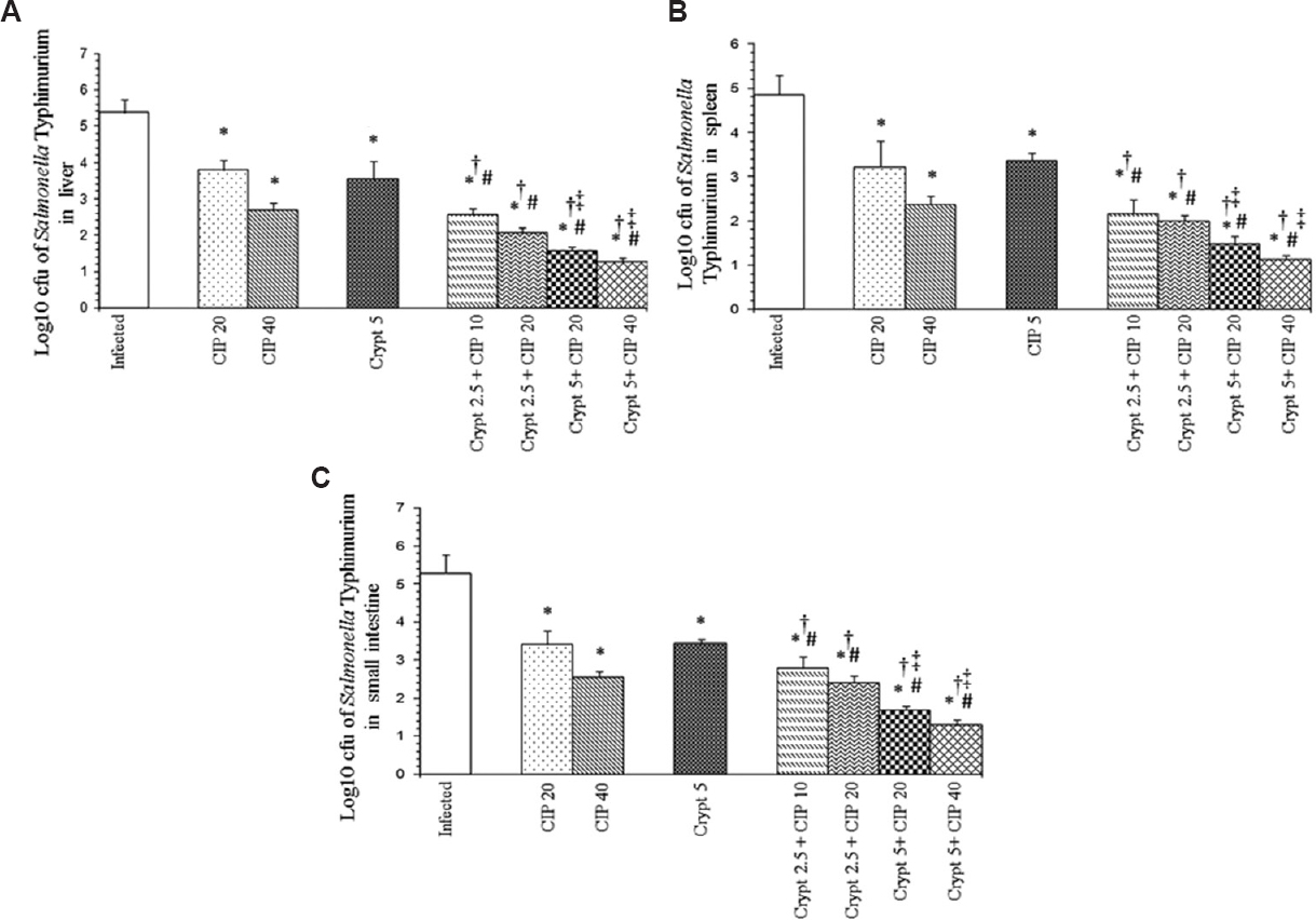 Log10 cfu of Salmonella Typhimurium in (A) liver, (B) spleens and (C) small intestines of infected mice after 48 h of therapy with cryptdin-2 (cry) and ciprofloxacin (CIP) separately and in combination. Values are expressed as mean ± standard deviation of three independent experiments. *P<0.05 compared to untreated mice (infected-control); #P<0.05 compared to mice treated with cryptdin-2 (5 μg/mouse); †P<0.05 compared to mice treated with CIP (20 mg/kg body weight); ‡P<0.05 compared to mice treated with CIP (40 mg/kg body weight). Uninfected control group comprising six mice was also used in the study (not shown as no bacterial load was recovered from this group).