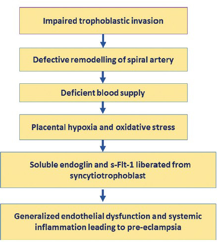 Schematic diagram showing the possible aetiopathogenesis of pre-eclampsia. sFlt-1, soluble fms-like tyrosine kinase.