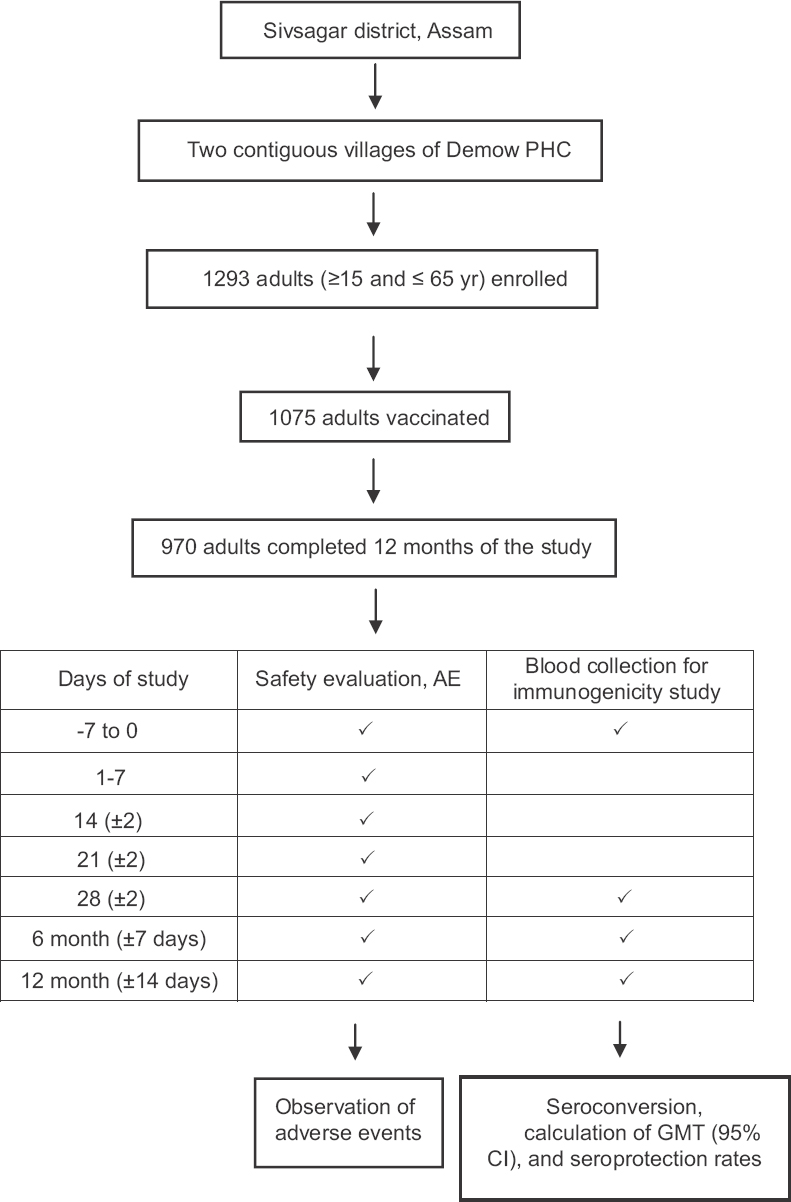 Study profile and disposition of participant; PHC, primary health centre; AE, adverse events; GMT, geometric mean titre; CI, confidence interval.