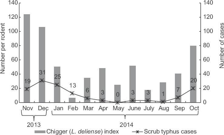 Month-wise reported cases of scrub typhus and estimated chigger (Leptotrombidium deliense) index.