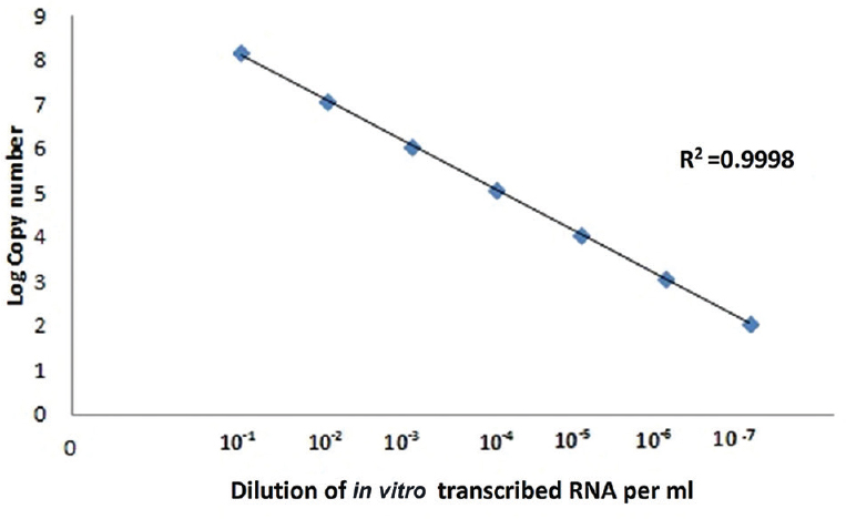 Standard curve of Malsoor virus; log copy number of in vitro-transcribed RNA versus dilution of RNA.
