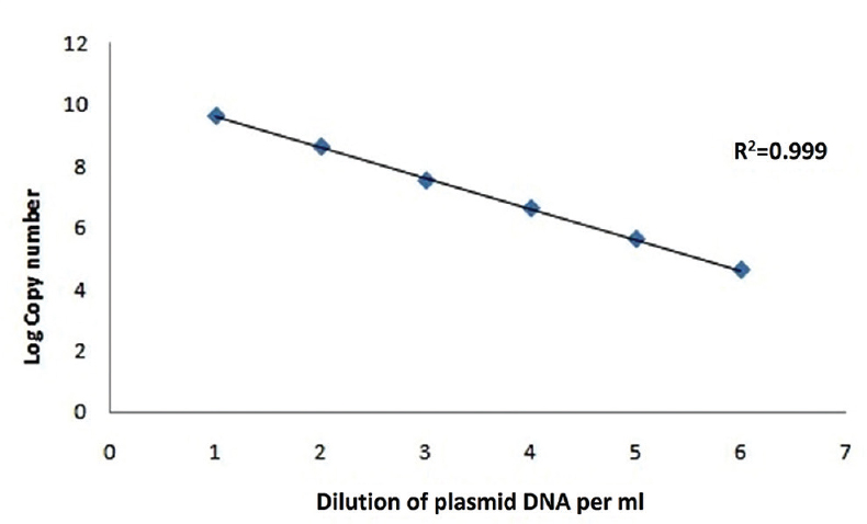 Standard curve of adenovirus; plasmid log copy number versus plasmid dilutions.