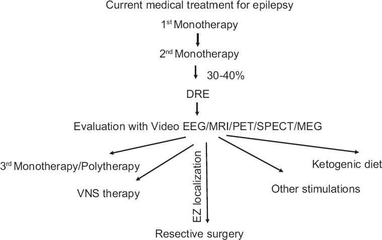 Schematic representation of the current treatment sequence for drug-resistant epilepsy (DRE) patients. About 30-40 per cent of the epilepsy patients whose seizures do not successfully respond to two different monotherapies with antiepileptic drug are considered as DRE patients. Various investigative techniques are used to confirm the diagnosis for accurate treatment and also for localization of the epileptogenic zone (EZ) in resective surgery. Treatments for DRE patients includes vagus nerve stimulation (VNS) or responsive cortical stimulations or ketogenic diets and resective surgery.