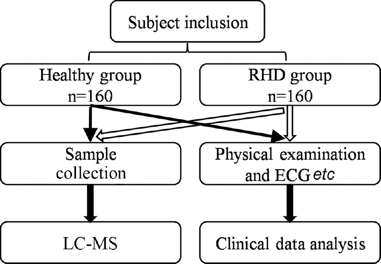 Flow chart representing the study design and selection of participants into the healthy group and the rheumatic heart disease (RHD) groups. LC-MS, liquid chromatography- mass spectrometry.