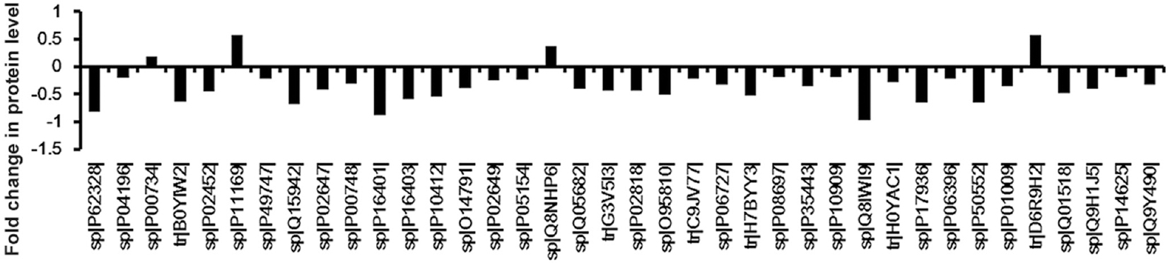 Graphical representation of the different protein levels in serum between the rheumatic heart disease patients and healthy controls. There were 38 proteins with a significant (adjusted P<0.001) difference between healthy controls and rheumatic heart disease patients. The serum levels of four proteins were upregulated and 34 were downregulated. The number on the y axis represents the fold change in protein level. The proteins are listed according to their SWISS-PROT accession number.