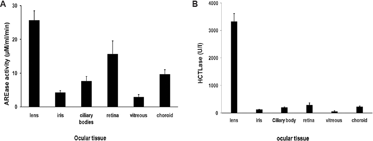 Paraoxonase activity in ocular tissues. (A) Arylesterase (AREase) activity of paraoxonase in ocular tissues: amongst the ocular tissue lysates, the lens had the highest activity, followed by retina, choroid, ciliary, iris and vitreous. (B) Thiolactonase (HCTLase) activity of paraoxonase in ocular tissues: the lens had the highest activity followed by retina, choroid, ciliary, iris and vitreous similar to the arylesterase activity.