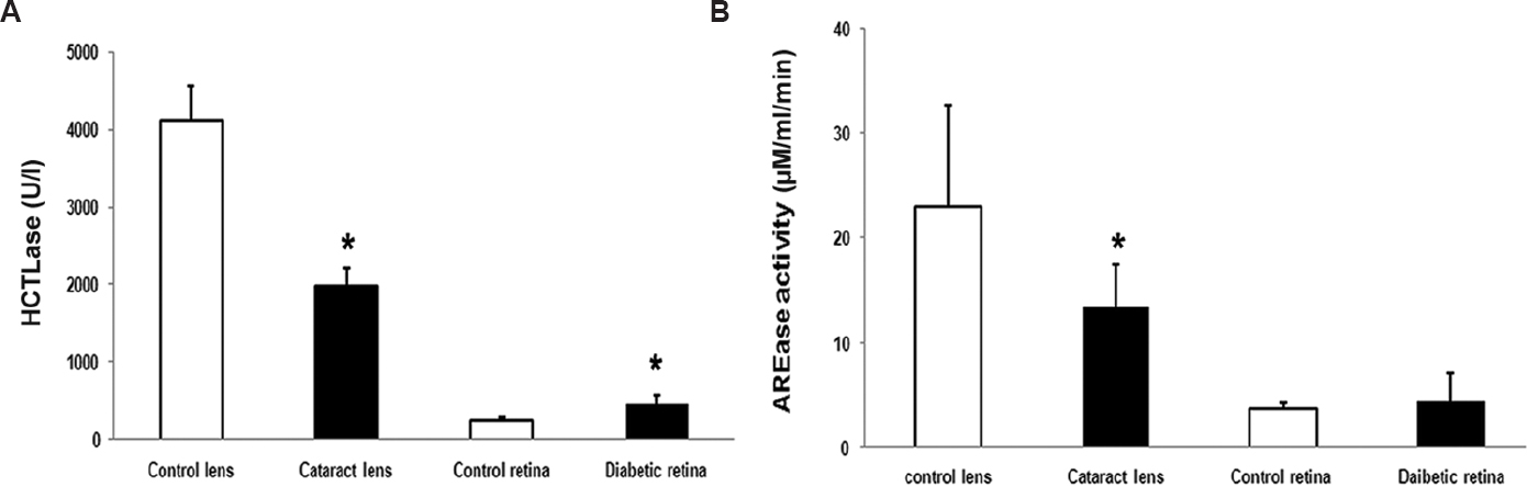 Paraoxonase activity in ocular disease condition. (A) There was a significant increase in thiolactonase (HCTLase) activity in the diabetic retina, but in contrast, the cataract lens had a significant drop in the activity. *P<0.05 compared to respective control. (B) There was a significant decrease in arylesterase (AREase) activity in cataract lens but not much change seen in donor retina from patients with diabetes when compared to control.