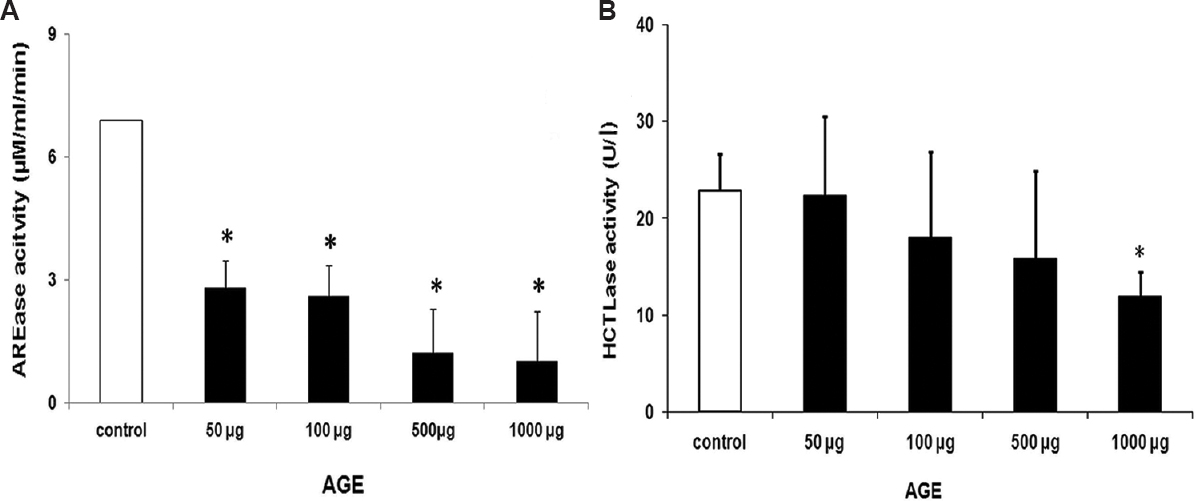 Effect of advanced glycation end products on the arylesterase (AREase) and the thiolactonase (HCTLase) activity. (A) There was a dose-dependent decrease in the arylesterase activity with increasing concentrations of advanced glycation end products. (B) Thiolactonase activity was 50 per cent inhibited at a very high concentration of 1000 μg advanced glycation end products (AGE).