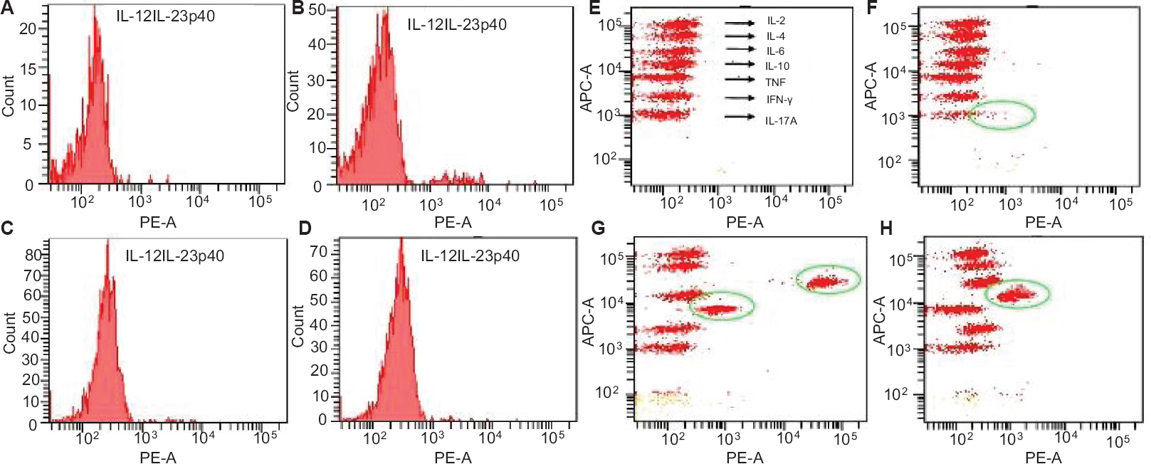 Fluorescence activated cell sorting analysis of serum cytokines in different disease groups. Two-dimensional plots of fluorescent activated cell sorting analysis represent the concentration of interleukin (IL)-12/interleukin-23p40 in serum samples of (A) healthy controls, (B) pharyngitis (C) rheumatic fever (RF), and (D) rheumatic heart disease (RHD). Three dimensional shifts demonstrate the concentration of (F) IL-17A, and (H) IL-10 in RF; (G) IL-6 and tumour necrosis factor-alpha (TNF-α) in RHD, whereas no shifts have been observed in healthy controls (E).