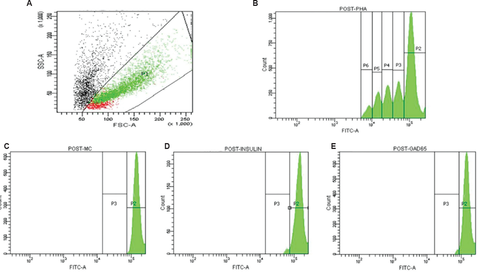 Representative images showing proliferation of lymphocytes stained with carboxyfluorescein succinimidyl ester (CFSE) following in vitro stimulation with autoantigens, insulin (10.0 μg/ml) and glutamic acid decarboxylase 65 (GAD65, 5.0 μg/ml), positive control, phytohaemagglutinin (PHA, 5.0 μg/ml) and negative control, media control (MC). (A) Lymphocytes were gated according to forward and side scatter. Histograms represent cells stimulated with (B) PHA, (C) media control, (D) insulin, (E) GAD65.